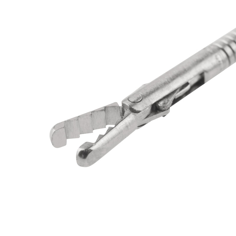 [DK]Fremmedlegemetang, nærbillede 4